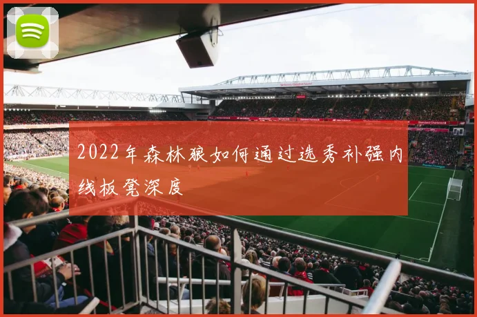 2022年森林狼如何通过选秀补强内线板凳深度