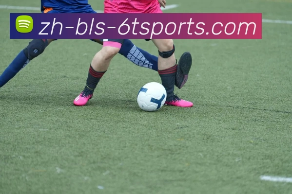 6T体育品牌故事