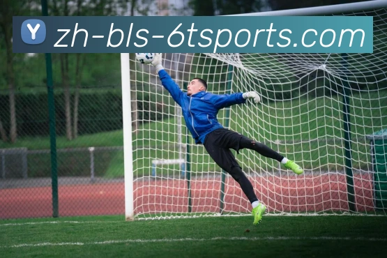 6T体育APP 体育赛事宣传图